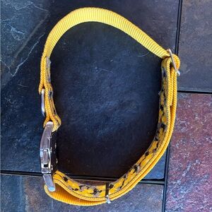 Yellow Dog Collar with Metal Buckle